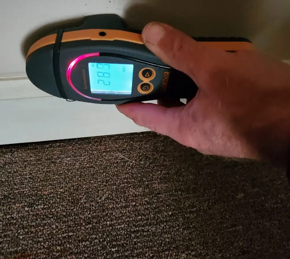 Moisture detection at baseboard during Burst Pipe Cleanup in Affton